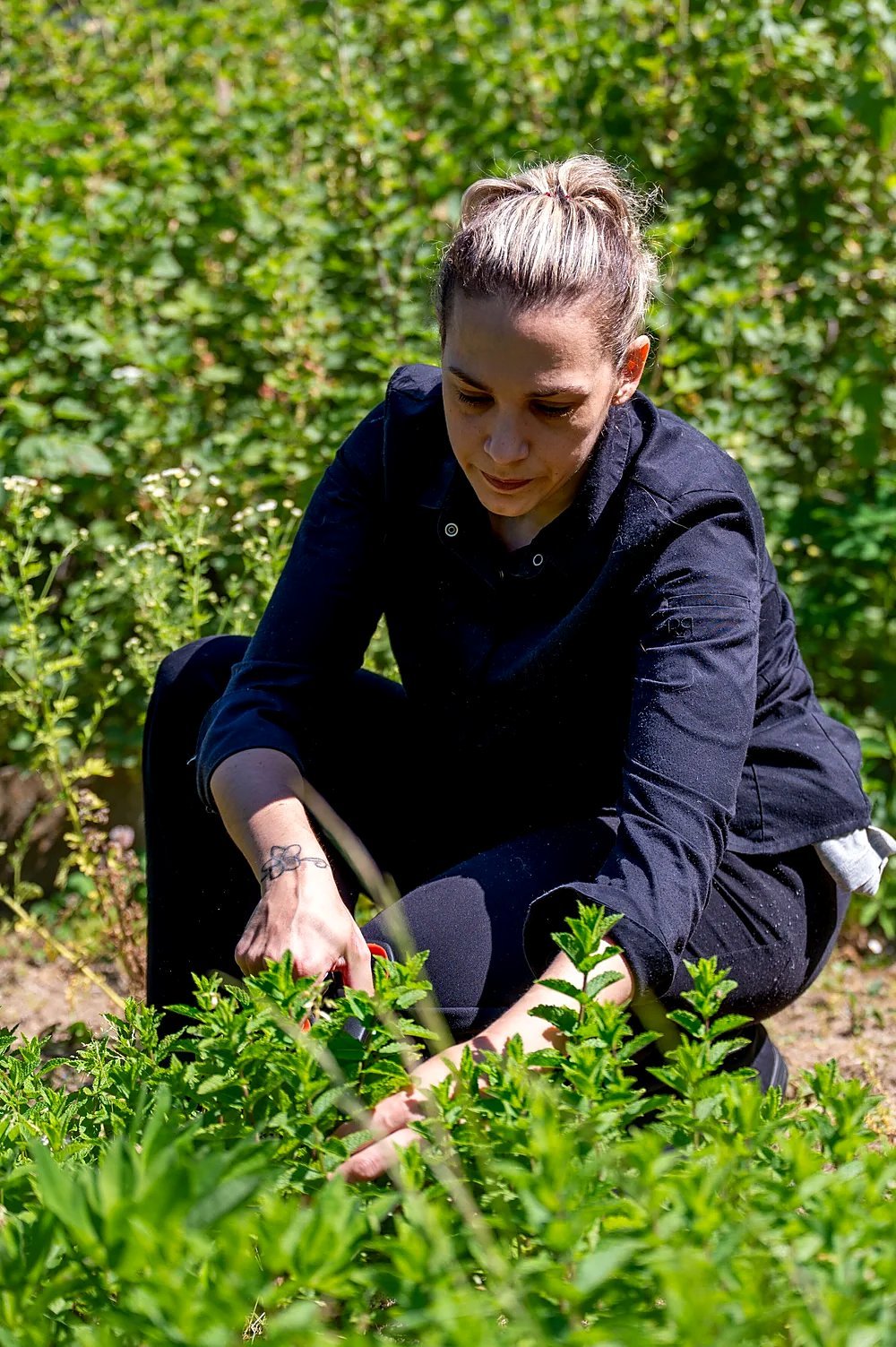 Nathalie Ragot en cueillette d'herbes